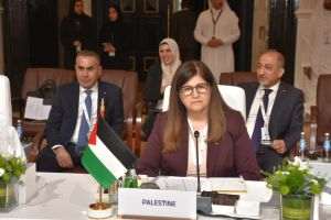 Ministerul de Externe al Palestinei salută concluziile ONU privind genocidul din Gaza